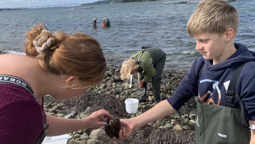 Biologi i Strandkanten 2023